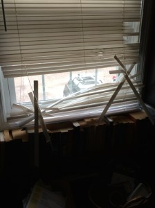 separation anxiety in dogs