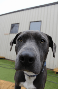 Screen Shot 2014-12-23 at 5.25.04 PM