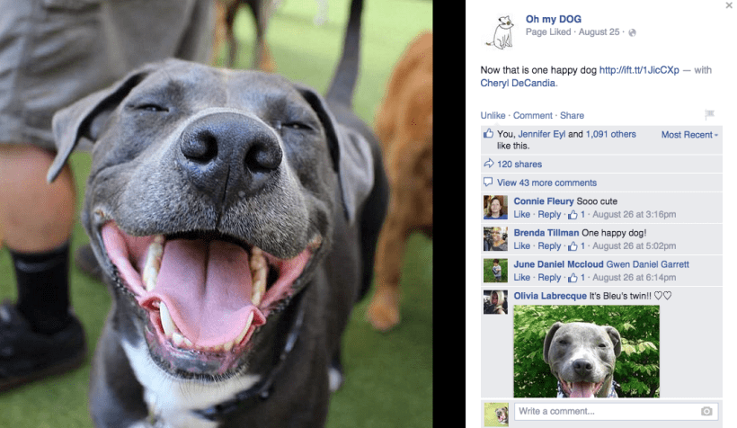 Screen Shot 2015-08-28 at 6.55.14 AM